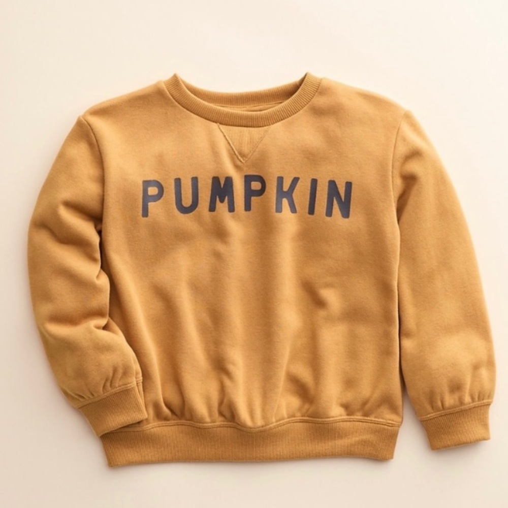 NEW 🦃 PUMPKIN Sweatshirt by Little Co. SZ 24 months